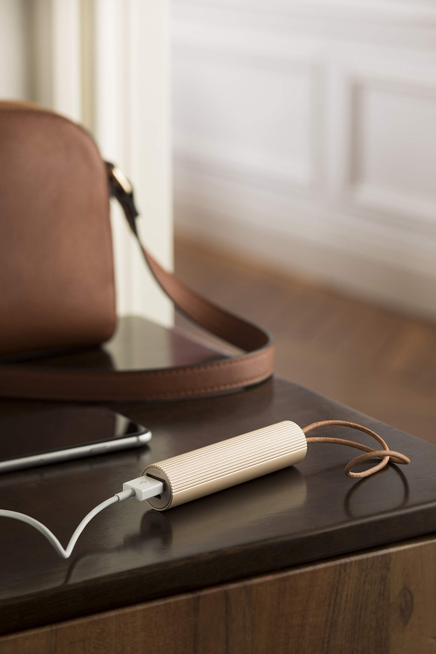 lexon-fine-tube-batterie-externe-3000-mah-dor-e-usb-a-usb-c image 4