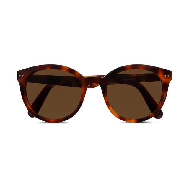 briston-10-me-anniversaire-lunettes-de-soleil-caille-de-tortue-brun image 1