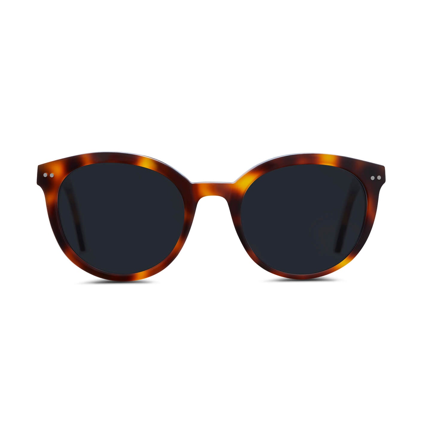 briston-10-me-anniversaire-lunettes-de-soleil-gris-caille image 3
