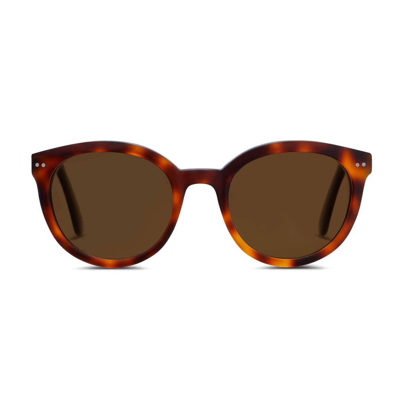 briston-10-me-anniversaire-lunettes-de-soleil-caille-de-tortue-brun image 3