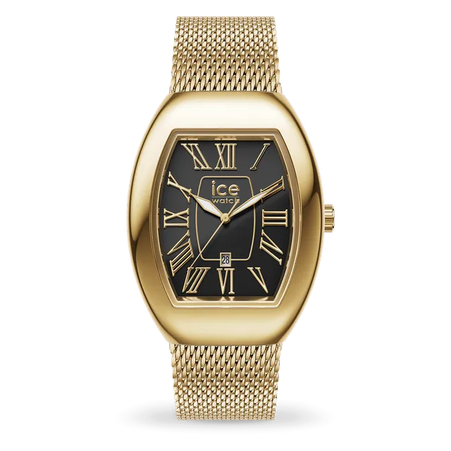 ice-watch-ice-dome-montre-metal-mesh-black-gold image 1